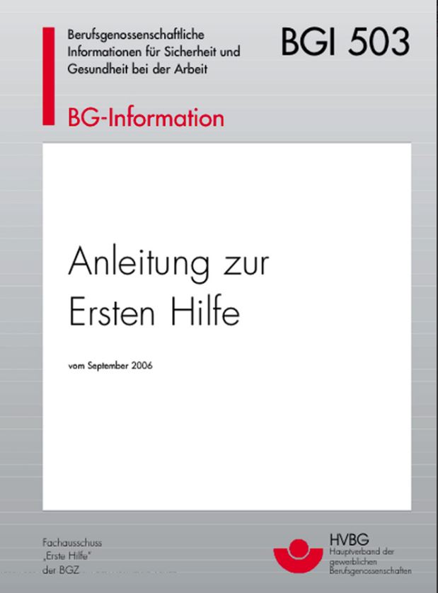 Anleitung Erste Hilfe  BGI 503